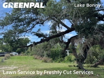 Grass Cutting nearby Lakeland, FL, 