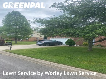 Lawn Cut nearby Murfreesboro, TN, 