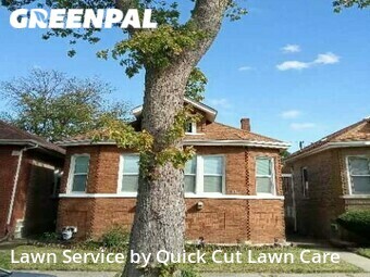 Yard Cutting nearby Chicago, IL, 