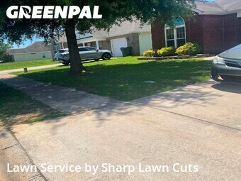 Lawn Cut nearby Byron, GA, 