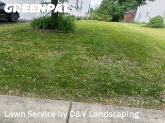 Lawn Service nearby Joliet, IL, 