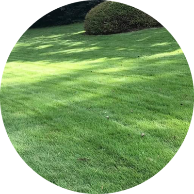 Cato Lawn Care  headshot