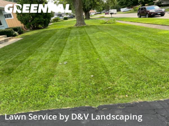 Yard Cutting nearby Joliet, IL, 