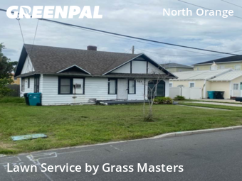 Grass Cut nearby Orlando, FL, 
