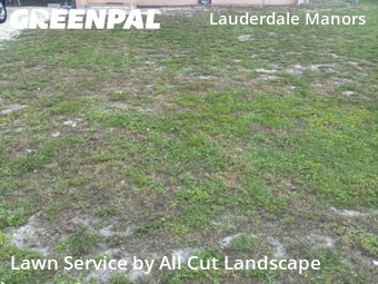 Lawn Care Service nearby Fort Lauderdale, FL, 