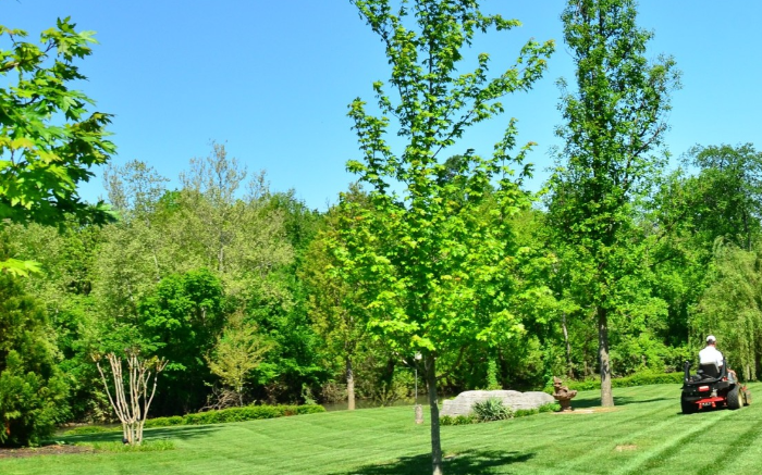 Work Image 1