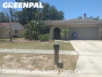 Lawn Cutting nearby Palm Harbor, FL, 