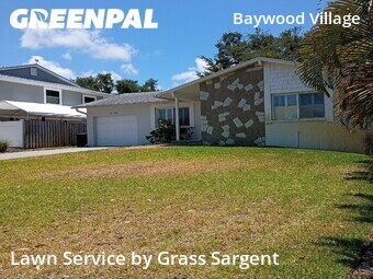 Lawn Mow nearby Palm Harbor, FL, 
