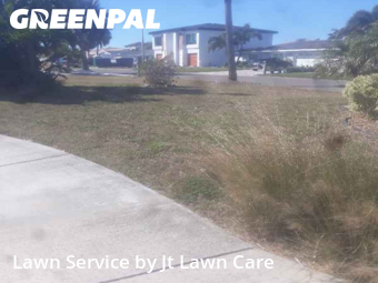 Lawn Mow nearby Dunedin, FL, 