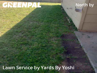 Grass Cutting nearby Lubbock, TX, 