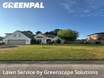 Lawn Mow nearby Medina, TN, 