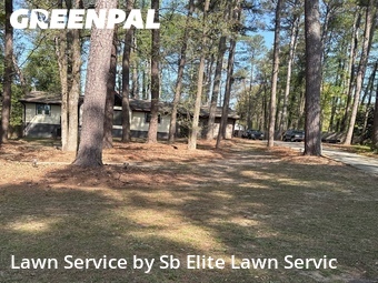 Lawn Maintenance nearby Snellville, GA, 