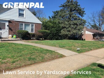 Grass Cutting nearby West Lawn, PA, 