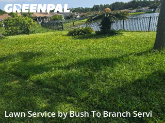 Garden Trimming in Fernandina Beach, 32034, Yard Upkeep by Bush To Branch Servi, work completed in Nov , 2025