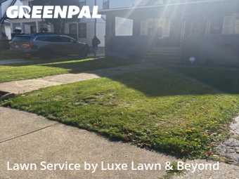 Yard Mowing nearby Cleveland Heights, OH, 