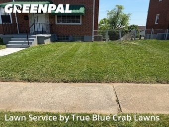 Lawn Cut nearby Dundalk, MD, 