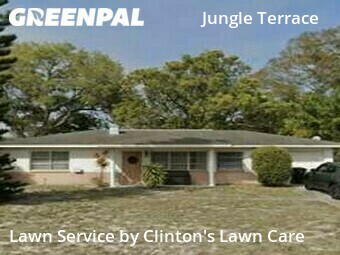 Yard Cutting nearby St. Petersburg, FL, 