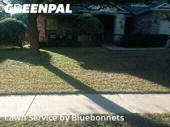 Lawn Care nearby Pflugerville, TX, 