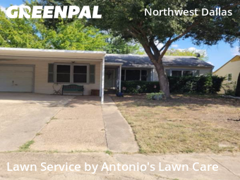 Lawn Mowing Servicein Dallas,75244,Lawn Cut by Antonio's Lawn Care, work completed in Nov , 2025