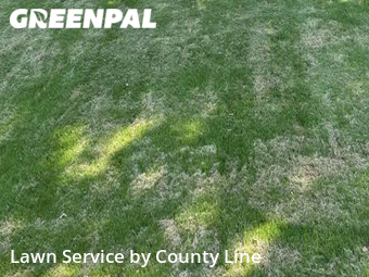 Lawn Mowing nearby Collierville, TN, 