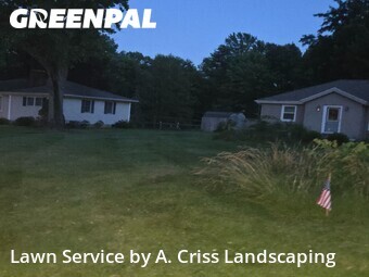 Yard Cutting nearby Norton, OH, 