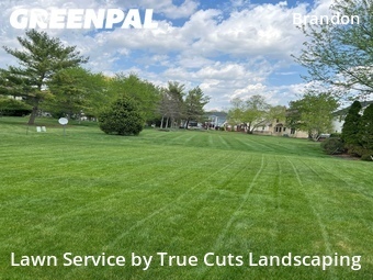 Work completed by lawn-maintenance-in in Dublin, CA