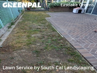 Lawn Cut nearby Chula Vista, CA, 