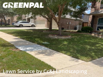 Yard Cutting nearby Mc Kinney, TX, 