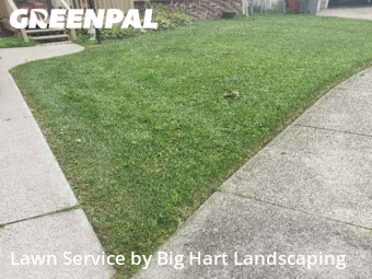 Lawn Cut nearby Clinton Township, MI, 