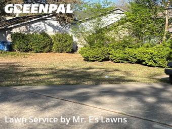 Lawn Cutting nearby San Antonio, TX, 