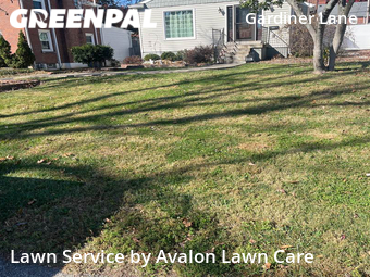 Lawn Service nearby Louisville, KY, 