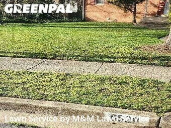 Lawn Care Service nearby Springfield, VA, 