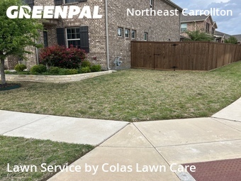 Lawn Cut nearby Carrollton, TX, 