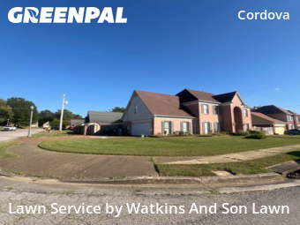 Turf Services in Cordova, 38016, Garden Trimming by Watkins And Son Lawn, work completed in Dec , 2025