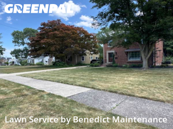 Yard Upkeep in Fairview Park, 44126, Yard Management by Benedict Maintenance, work completed in Oct , 2025