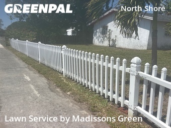 Lawn mowed in West Palm Beach, 33407