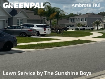 Grass Cutting nearby New Smyrna Beach, FL, 