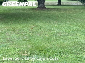 Lawn Mowing Service nearby Rockvale, TN, 