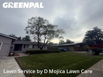 Work completed by grass-cutting-businesses-in-Elk Grove-CA