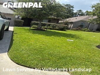 Grass Cutting nearby Conroe, TX, 