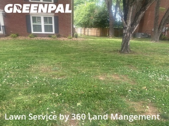 Lawn Care nearby Franklin, TN, 