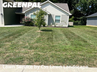 Lawn Mow nearby Springfield, KY, 