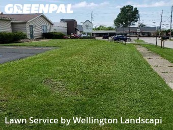 Lawn Cut nearby Erie, PA, 