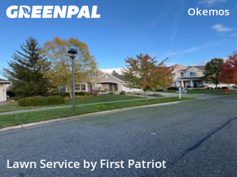Lawn Maintenance in Meridian Charter Township, 48864, Lawn Care by First Patriot , work completed in Nov , 2025