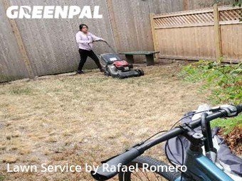 Lawn Cut nearby Cambridge, MA, 