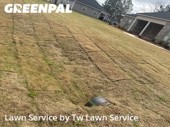 Lawn Maintenance nearby Macon, GA, 