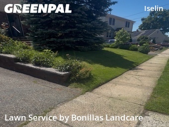 Lawn mowed in Woodbridge Township, 8830