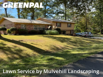 Yard Care Services in Birmingham, 35226, Yard Care by Mulvehill Landscaping, work completed in Nov , 2025