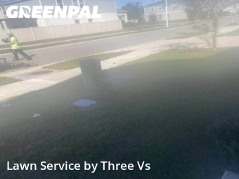 Lawn Mowin Wesley Chapel,33545,Lawn Care by Three Vs , work completed in Nov , 2025