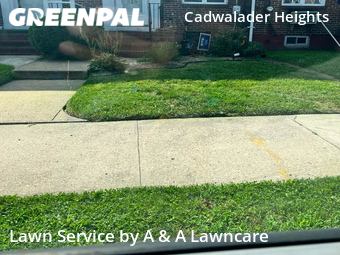 Lawn Service nearby Trenton, NJ, 